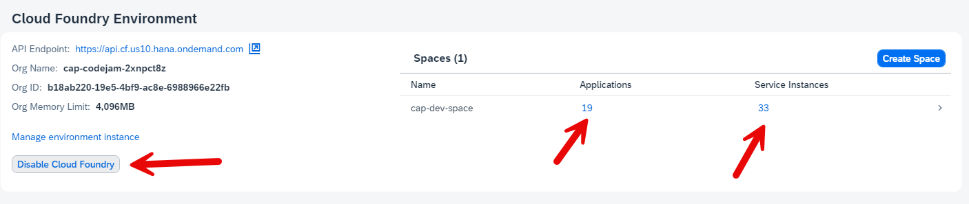Disable Cloud Foundry